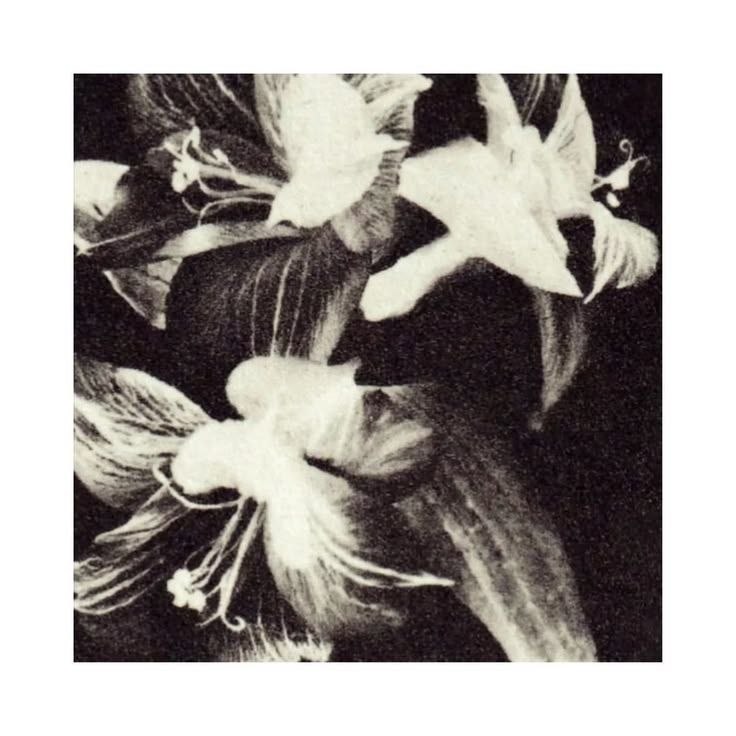 poem card 4